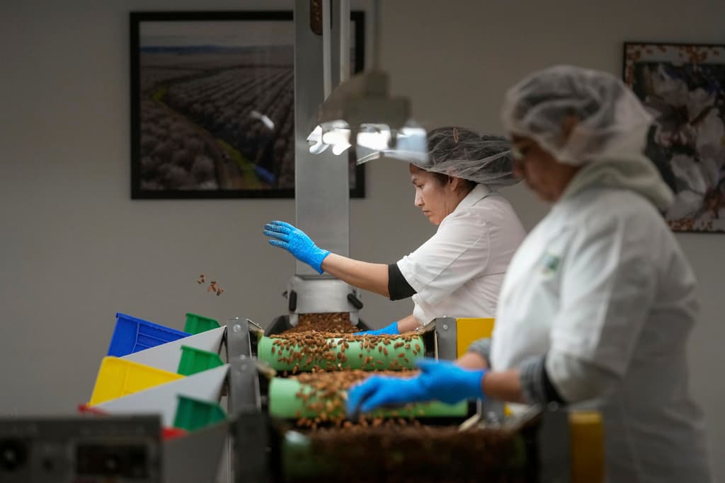 Ante el actual escenario, expertos en almendras dijeron que la clave para California será buscar mercados de exportación. “Si bien China sigue siendo un mercado importante, las almendras de California se envían a más de 100 destinos, por lo tanto, mantener un programa de exportación diverso es esencial”, dijo Rick Kushman, portavoz de la Junta de Almendras de California.