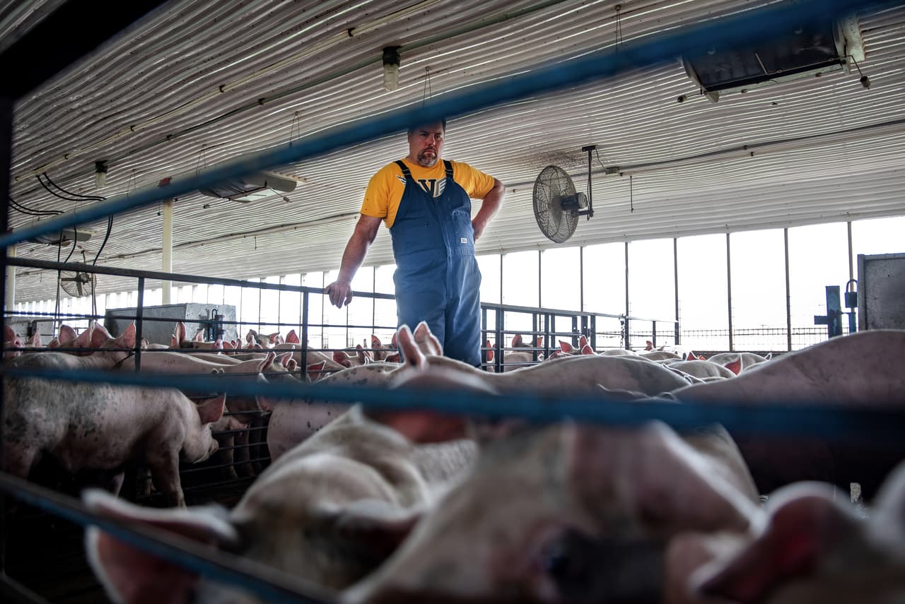 Pero Wiley afirma que no está interesado en ayudas y dice esperar que los problemas se resuelvan mucho antes de que él ya no pueda generar ganancias. Estos empresarios agrícolas perderán dinero si no pueden vender lo que producen y si no ganan suficiente no podrán pagar a sus empleados.
