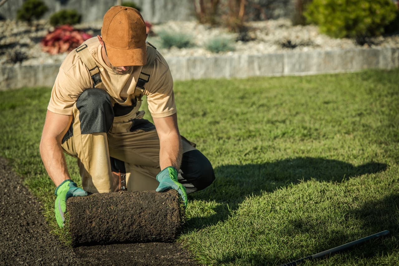 <b>Paisajista y jardinero.</b>
<br>
<br>Salario promedio anual: 30,440 dólares.
<br>
<br>Crecimiento esperado de este empleo para 2029: 10.1%.
<br>
<br>Estos empleados mantienen los jardines y el césped de parques, campos de golf, residencias, campus universitarios y edificios de oficinas.
<br>
<br>Trabajan al aire libre plantando, regando, cortando, fertilizando y desyerbando. No necesitan educación formal, pero es posible que se requieran certificaciones para poder trabajar con pesticidas y fertilizantes.
<br>
<br>
<a href="https://www.univision.com/noticias/trending/dispositivos-aparatos-cambiaron-mundo-recientemente-hoy-obsoletos-fotos"><b>Vea aquí 22 aparatos cambiaron el mundo hace relativamente poco tiempo, pero hoy son obsoletos</b></a>
<br>