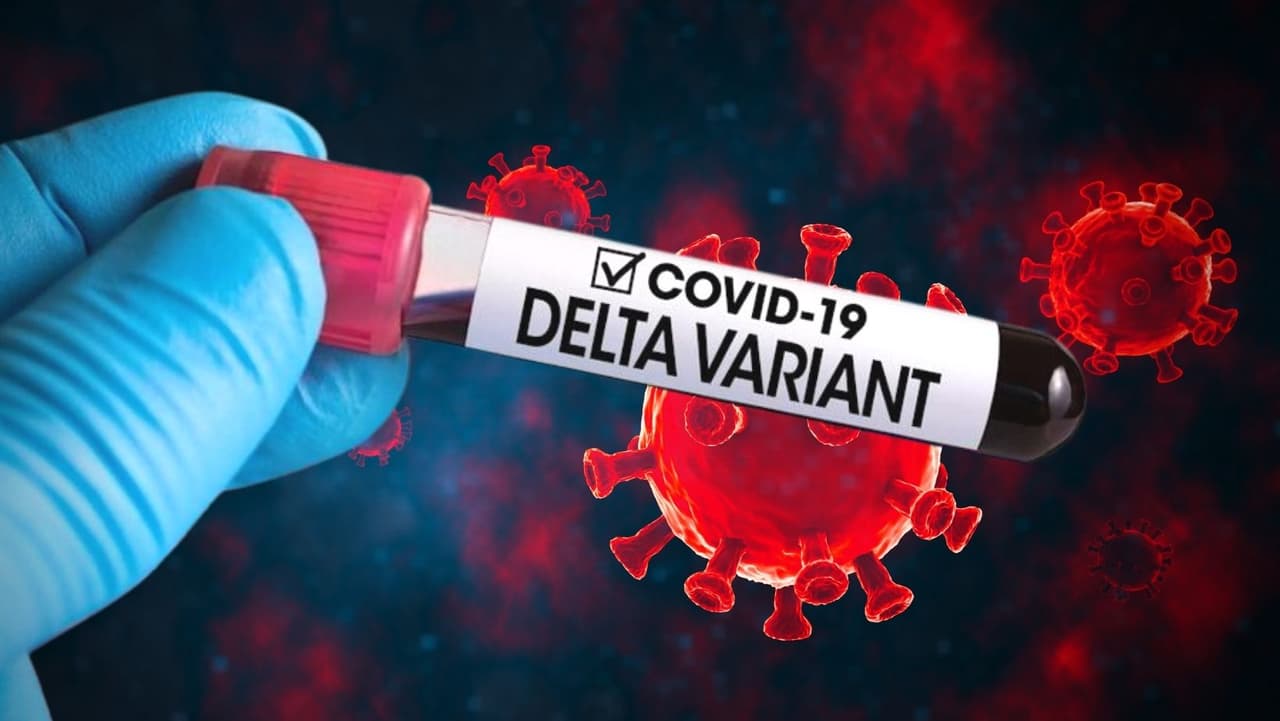 Con la 
<a href="https://www.univision.com/local/philadelphia-wuvp/la-variante-delta-del-coronavirus-se-encuentra-en-el-area-de-filadelfia-video">variante delta del coronavirus</a> emergiendo como una causa principal de nuevos casos de COVID-19 en Estados Unidos, algunas personas están preocupadas por la efectividad de la vacuna contra él. Aunque se han realizado algunos estudios sobre la eficacia de las 
<a href="https://www.univision.com/local/philadelphia-wuvp/filadelfia-expande-el-acceso-a-la-vacuna-contra-el-coronavirus-video">vacunas de ARNm de Pfizer y Moderna</a> de dos dosis contra variantes, hay menos información disponible sobre la 
<a href="https://www.univision.com/local/philadelphia-wuvp/por-precaucion-pausan-administracion-de-la-vacuna-de-johnson-johnson-en-pensilvania">vacuna Johnson & Johnson</a>, que es una vacuna de vector de adenovirus de dosis única.
<b> Más información <a href="https://www.univision.com/local/philadelphia-wuvp/dosis-refuerzo-protegerme-variante-delta-coronavirus">aquí</a>. </b>