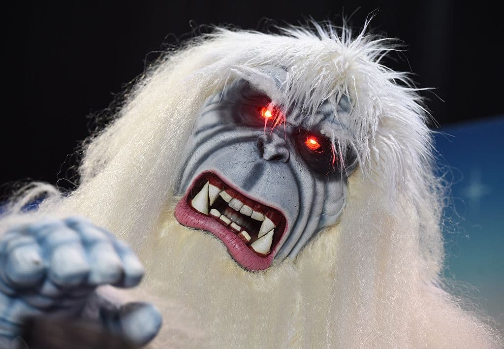 <b>7. EL YETI</b>
<br>El Abominable Hombre de las Nieves podría ser el primo de Pie Grande, otro simio u oso gigantesco que habita en regiones nevadas de Asia hasta el Himalaya. Hay quienes creen que se trata de una variedad extraña de primate que quedó oculta y sobrevive entre las montañas nevadas.