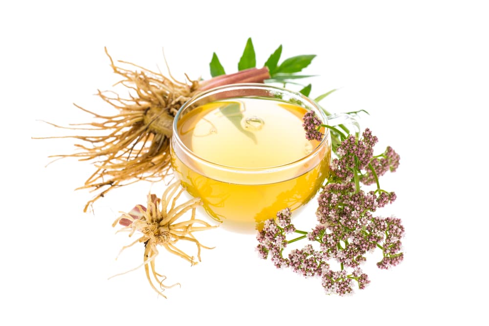 Hazte un té de hojas de valeriana, un calmante maravilloso. Es aún mejor si lo haces tú mismo, en lugar de las opciones que compras en las tiendas.