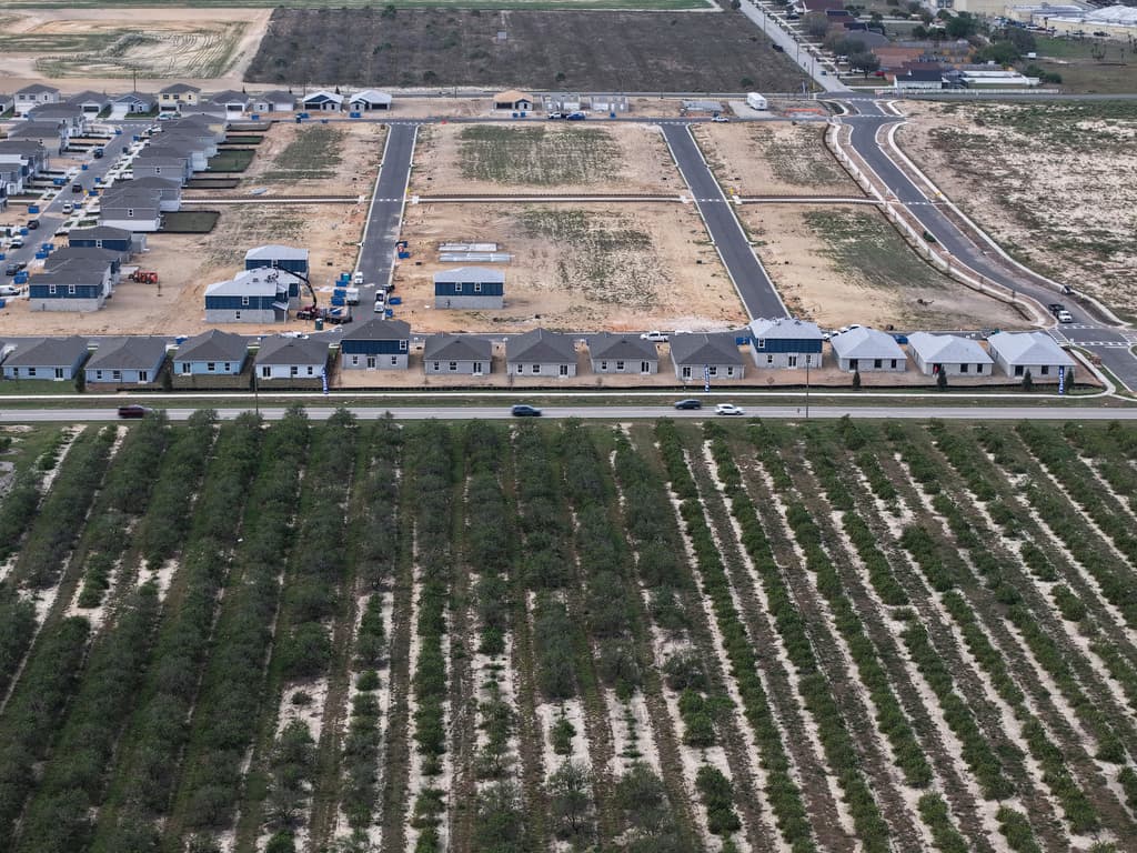 <b>La industria del jugo de naranja también sufre</b>, con empresas como Tropicana trabajando a menor capacidad.