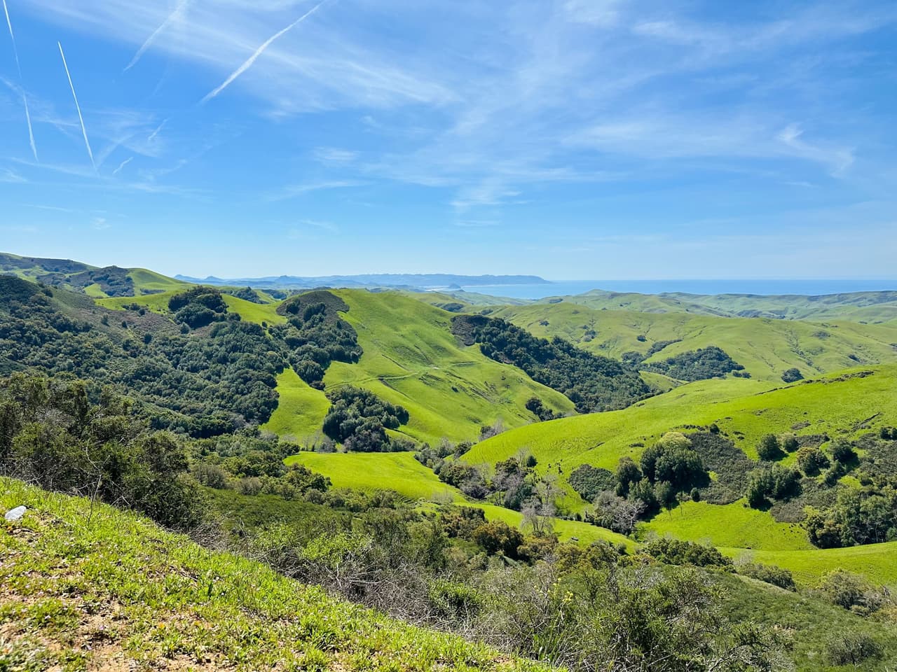 Vale la pena visitar 
<b>Cambria</b> por sus senderos frente a la playa y acantilados, su encantador pueblo, y sus excelentes 
<b>opciones de comida y bebida. </b>También está cerca del espectacular 
<b>Castillo Hearst </b>y de la colonia de elefantes marinos.
<br>