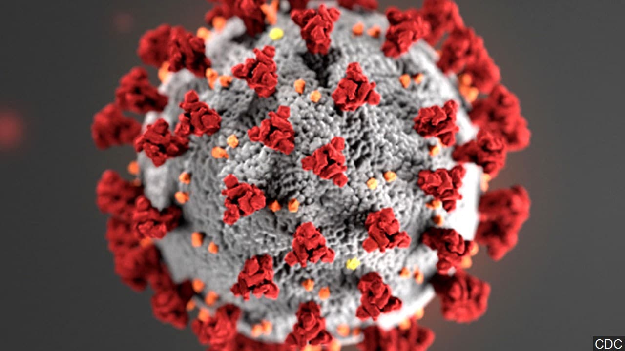Además, el 
<a href="https://www.univision.com/local/los-angeles-kmex/es-gripa-o-coronavirus-conoce-las-diferencias-segun-los-sintomas">coronavirus</a> se desarrolla por etapas y durante la primera semana, los síntomas de la enfermedad son muy parecidos a una gripe o resfriado. Esto es porque el 
<a href="https://www.univision.com/local/los-angeles-kmex/un-experto-explica-que-deben-hacer-las-personas-que-sienten-miedo-o-panico-por-el-coronavirus-video">virus</a> forma parte de la familia del virurs SARS que atacan en diferentes niveles el sistema respiratorio humano.