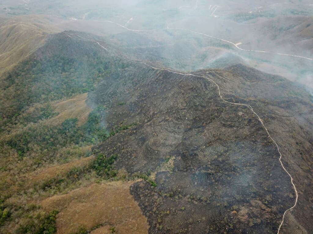 Brasil se encuentra en temporada seca. Los especialistas coinciden en que 
<b>no se trata de un año de sequía intensa</b> y que el fuerte incremento de los incendios se debe a la 
<b><a href="https://www.univision.com/local/puerto-rico-wlii/lo-que-debes-saber-sobre-los-incendios-en-el-amazonas-video">deforestación</a></b>, que según datos del Instituto de Investigaciones Espaciales (INPE) y otras instituciones aumentó exponencialmente en los últimos meses.
<br>