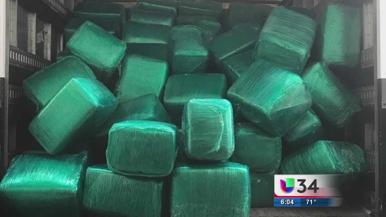 Realizan importante decomiso de marihuana en Atlanta