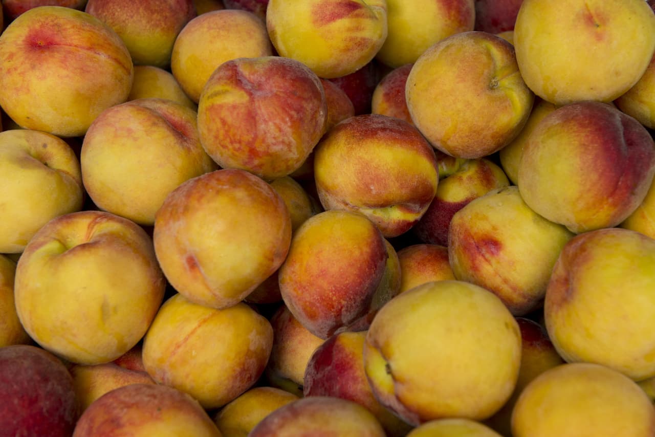 <b>Kalawi Farm:</b> Este mercado de agricultores ubicado en el condado de Moore cuenta con una gran variedad de frutas y helados artesanales. Son conocidos por sus deliciosos duraznos. Dirección: 1515 NC-211, Eagle Springs, NC 27242.