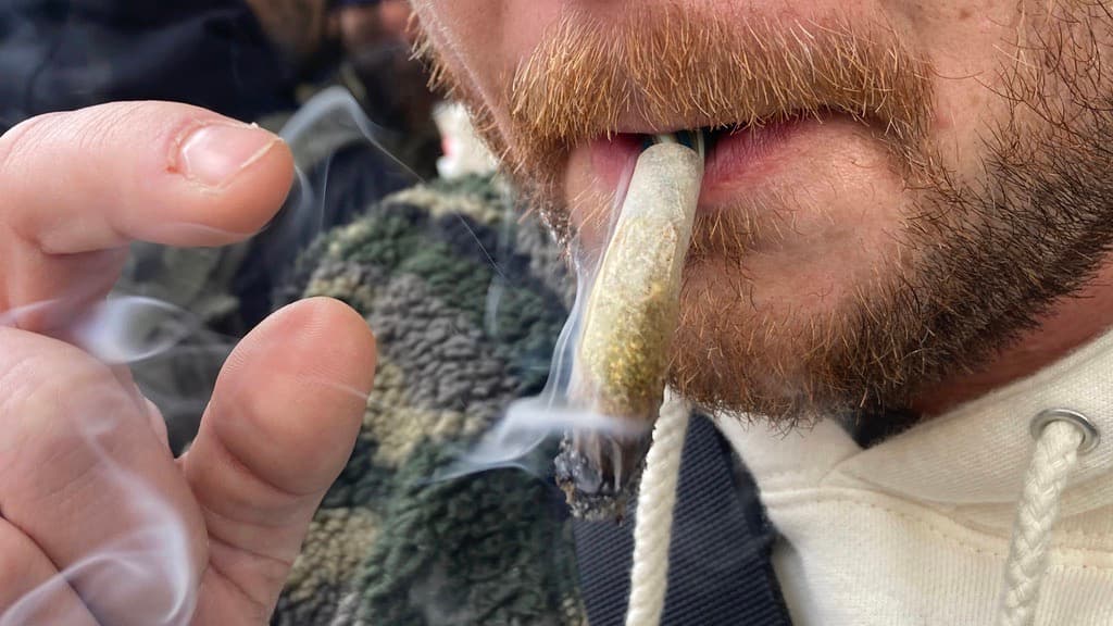 Consumo diario de marihuana en EEUU supera al del alcohol. Explicamos por qué