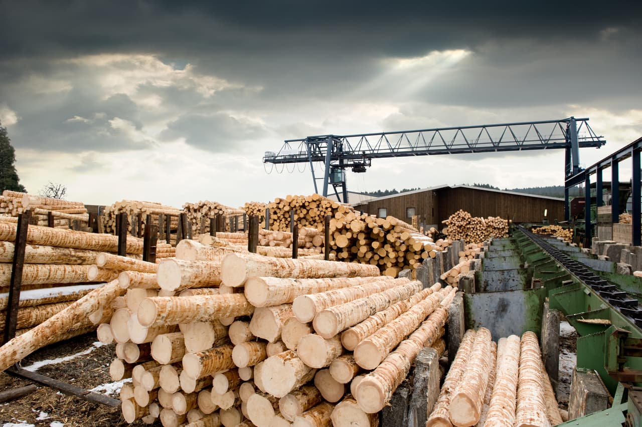 <b>La industria de la madera</b>
<br>
<br>La escasez de productos de madera ha sido uno de los factores que ha impulsado los precios de la vivienda en el país. Según 
<i>The Washington Post,</i> 
<a href="https://www.washingtonpost.com/business/2021/06/15/industries-with-worker-shortages/"><u>hay mucha madera para satisfacer al mercado</u></a> pero este material en bruto no es suficiente, debe convertirse en productos terminados y para esto necesita una mano de obra que no tiene.
<br>
<br>Los aserradores no pueden mantener el ritmo de la demanda y los precios se dispararon. Según Vice, 
<a href="https://www.vice.com/en/article/88nvva/lumber-shortage-2021-explained"><u>eventualmente el mercado se estabilizará</u></a> y por esto las compañías madereras están desesperadas por aumentar su mano de obra para producir más mientras los precios sigan altos.