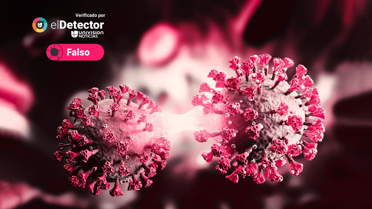 No hay hasta ahora ninguna alerta por “arcturus”, la nueva subvariante del coronavirus 