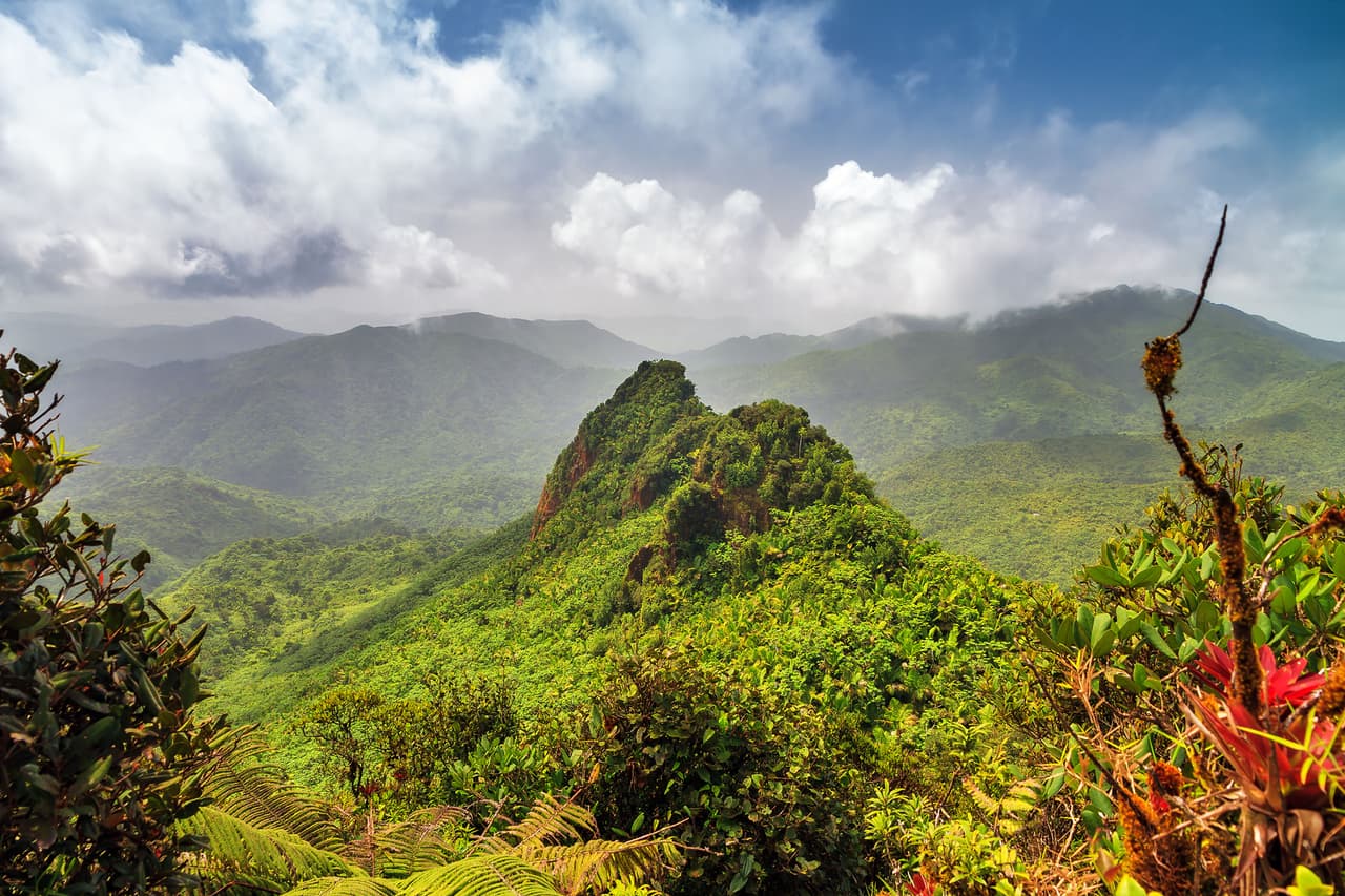 <b>Parque Forestal El Yunque (Puerto Rico)</b>
<br>
<br>Es la única selva tropical dentro de las propiedades del Servicio Forestal de los Estados Unidos y resultó muy afectada por los huracanes Irma y María en 2017. 
<br>
<br>Los fondos gubernamentales para su recuperación han tardado en llegar, pero las iniciativas locales turísticas están reconstruyendo los senderos y organizando visitas ecológicas.
<br>