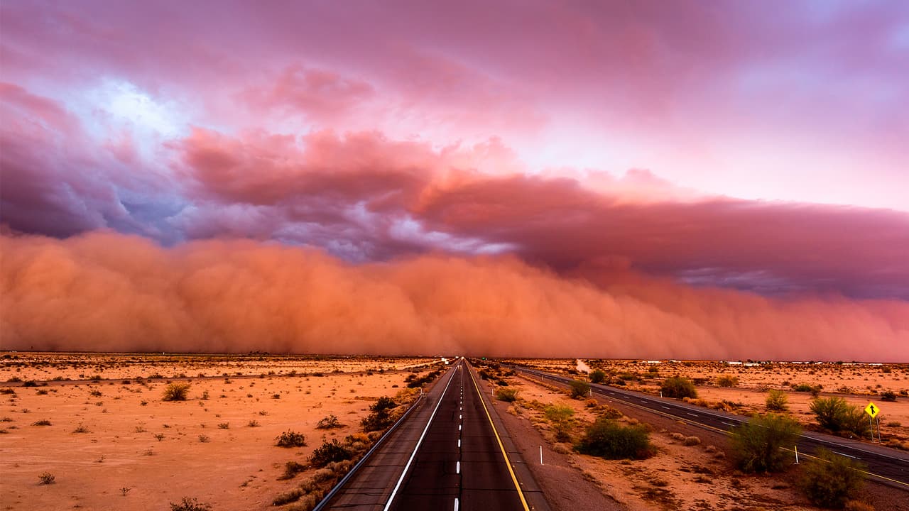 <b>Antes de una tormenta de polvo</b>
<br>Mire el cielo y permanezca atento de las alertas meteorológicas: Las 
<b>tormentas de polvo </b>son más comunes en la primera parte de la temporada monzónica, cerca de áreas agrícolas y cerca de Willcox Playa en el condado de Cochise. Son más frecuentes en julio y agosto y entre las 4:00 p.m. y 6:00 p.m.
<br>
<br>Si ve una nube densa, no conduzca. Estas tormentas pueden reducir la visibilidad a casi cero en segundos, lo que provoca accidentes mortales en las carreteras.