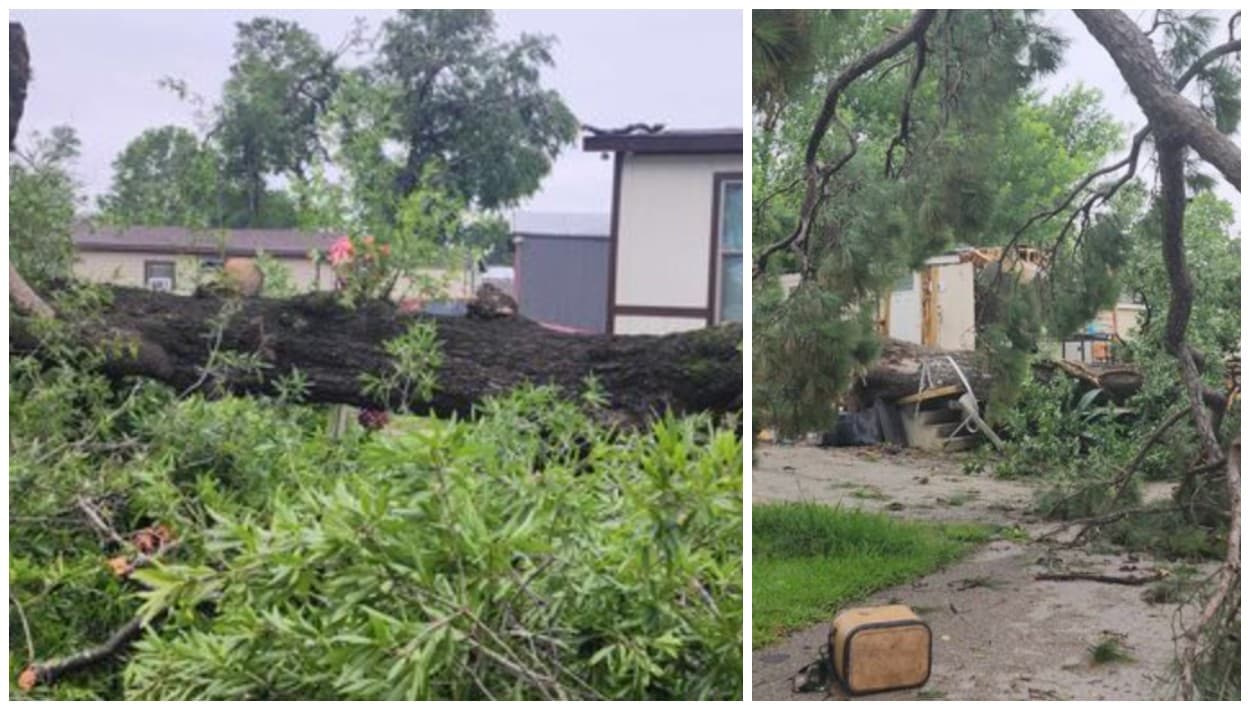 Mary Méndez envía imágenes de una zona que fue mayormente afectada por los vientos. Derribaron árboles que cayeron sobre casas y autos.