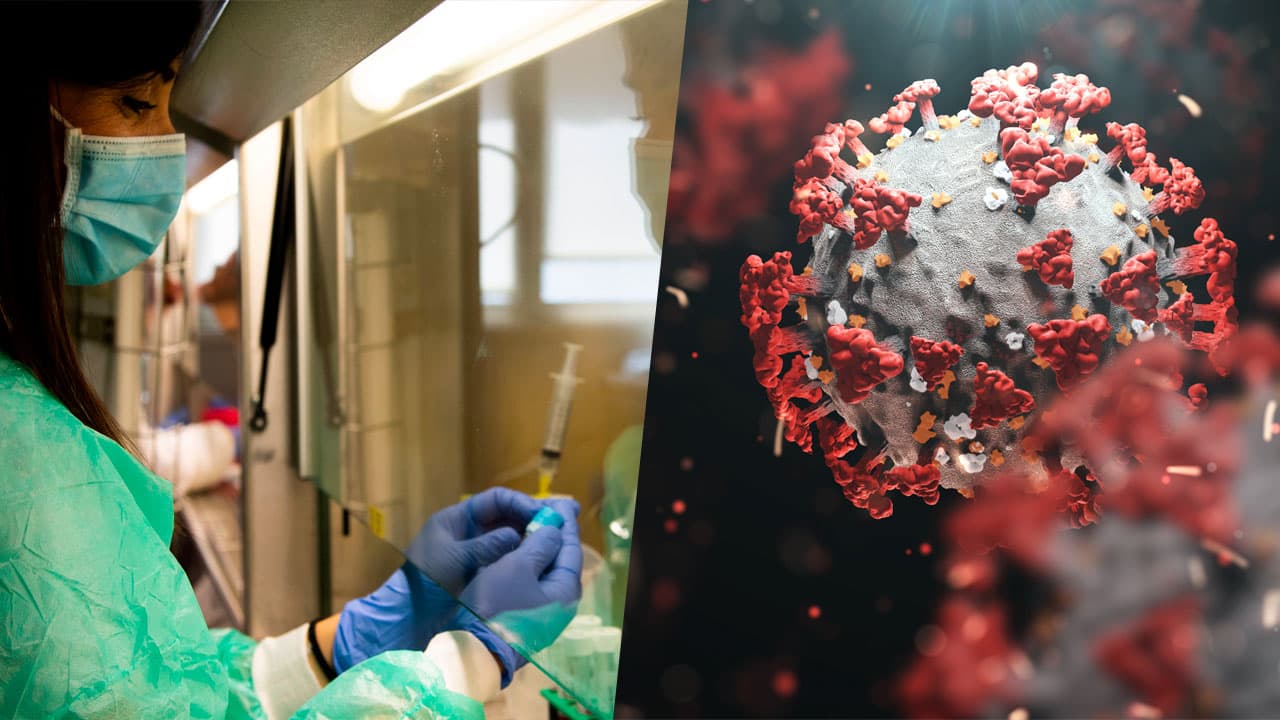 ¿Hay en México una variante del coronavirus? ¿Es nueva o viene de afuera?