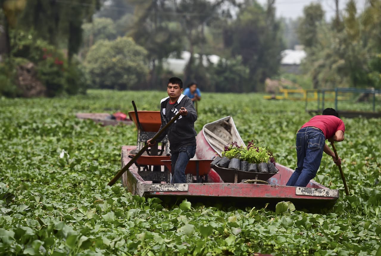 Xochimilco