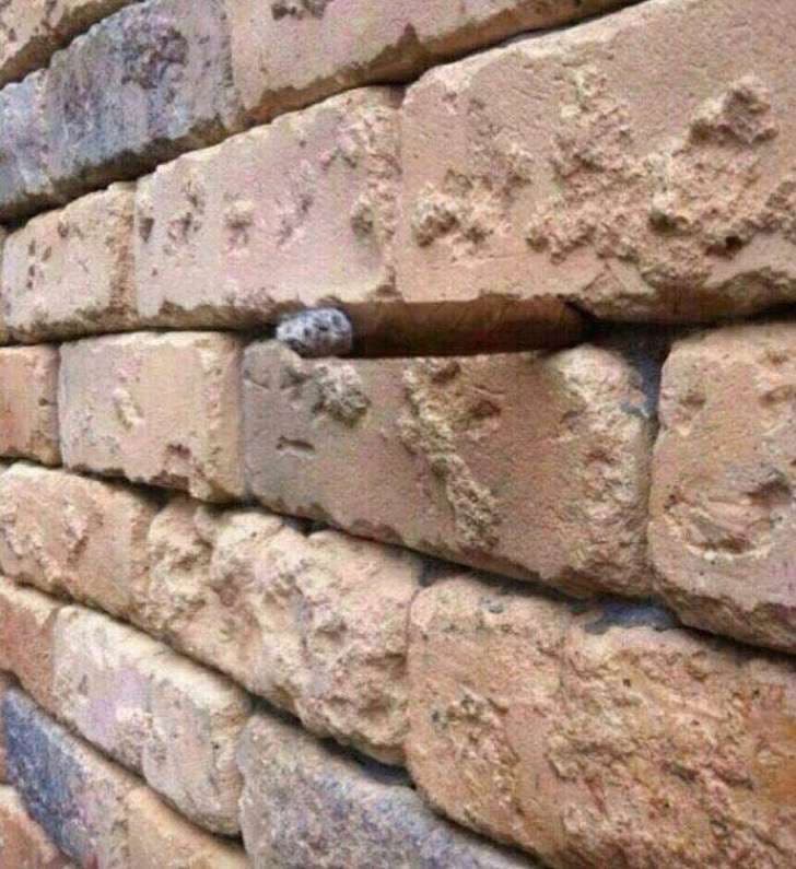 Hay algo en la pared. Es difícil de ver pero 
<a href="http://www.abc.es/recreo/abci-ilusion-optica-pared-ladrillos-hecho-viral-201605172108_noticia.html">una vez que lo has hecho</a> es difícil volver atrás.