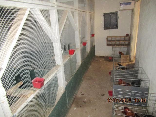 Un sospechoso fue arrestado por varios cargos pendientes, pero puede enfrentar además otros como crueldad hacia los animales y otros de orden federal.
