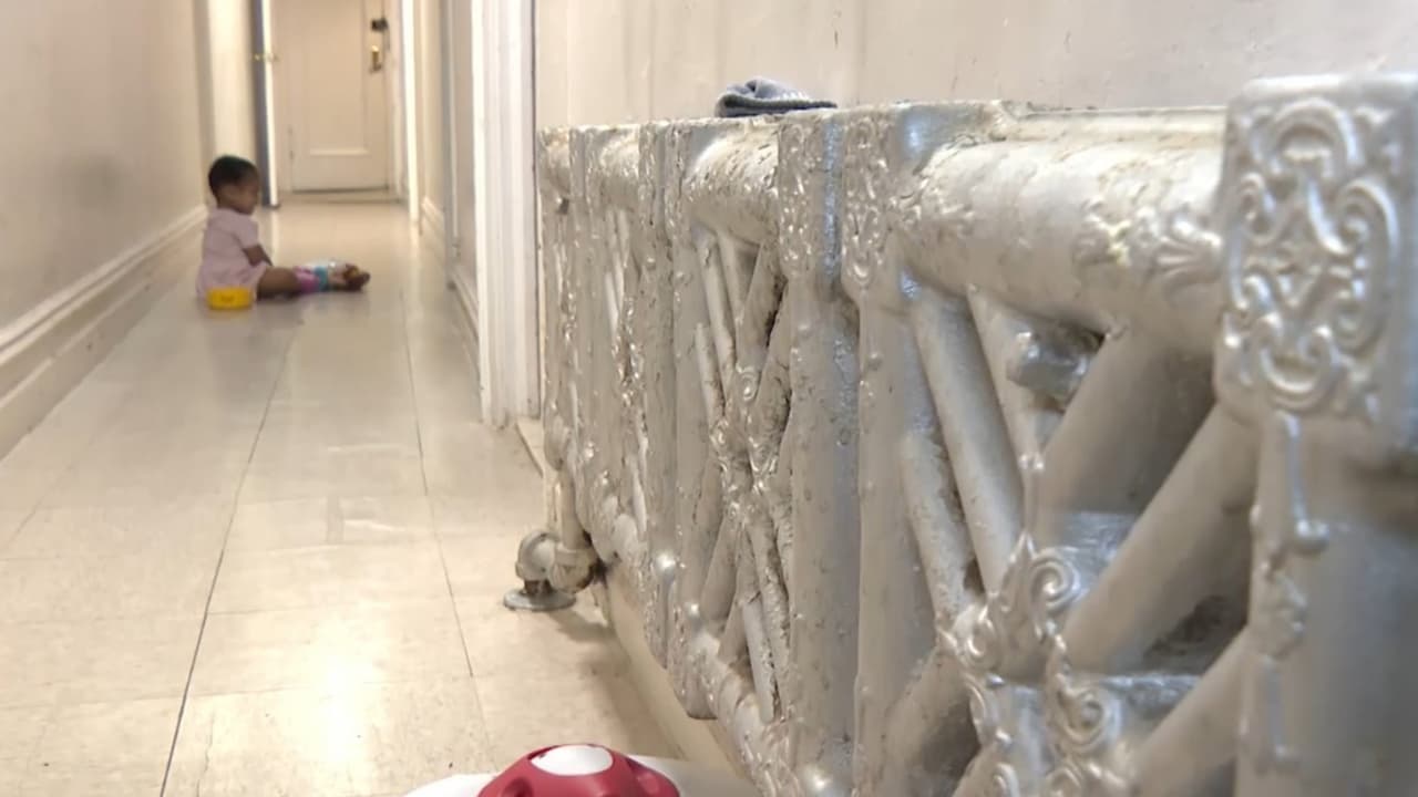 <b>El servicio de calefacción no funciona en el edificio</b>, por lo que deben soportar el frío. Además, una madre hispana señaló que 
<b>su hija se ha topado con ratones cuando juega en el pasillo</b>.