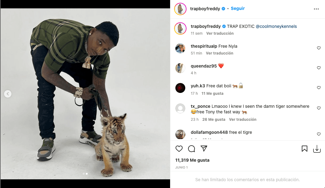 En su cuenta de Instagram @trapboyfreddy compartió una fotografía con el tigre cachorro.