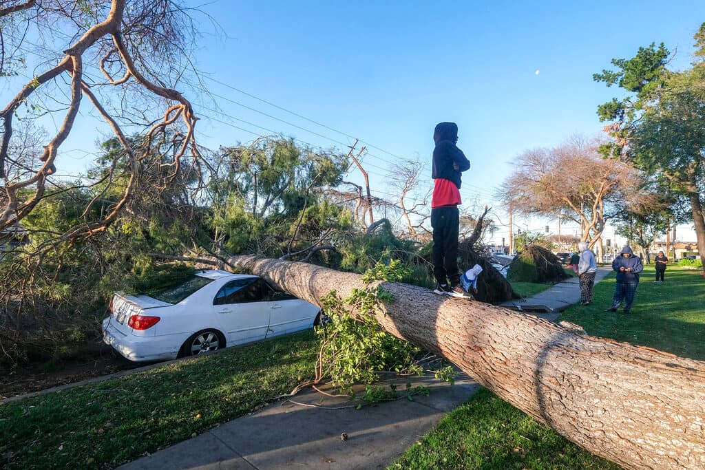 Los daños en la ciudad fueron contundentes y obligaron el cierre Claremont Hills, Wilderness Park hasta nuevo aviso, dijeron las autoridades.
<br>