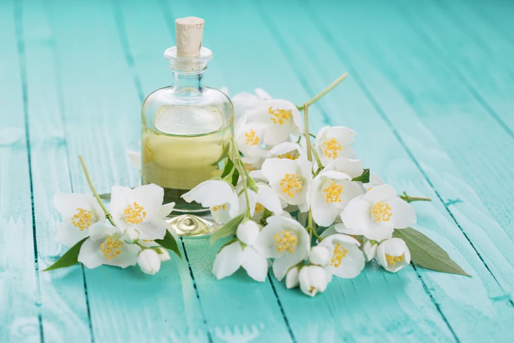 Veamos por qué se tiene una relación muy particular con el amor... Porque además de su relación con Venus, evoca las características de la Luna (fertilidad, paz). Todo esto hace también que sea una flor ideal para bodas, donde la novia puede portarlas en su ramo o en su cabello.