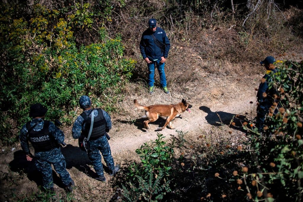 De las entidades con 
<b>menos grupos delictivos</b> se encuentran 
<b>Zacatecas, con cinco</b>.