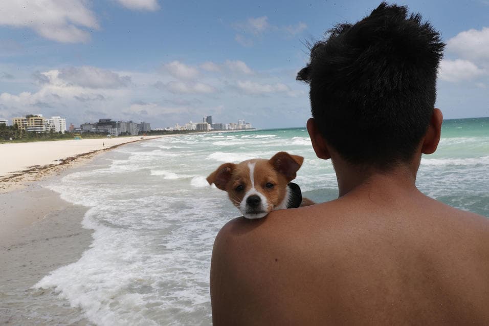 Si está en el agua, regrese de inmediato a la orilla y busque un lugar seguro.