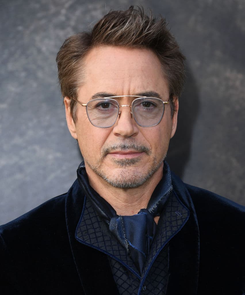 <b>Robert Downey Jr. </b>
<br>Se volvió uno de los más grandes íconos de la última década por ser Iron Man en la pantalla grande y derrotar a Thanos, pero antes de eso su carrera tuvo muchos altibajos.