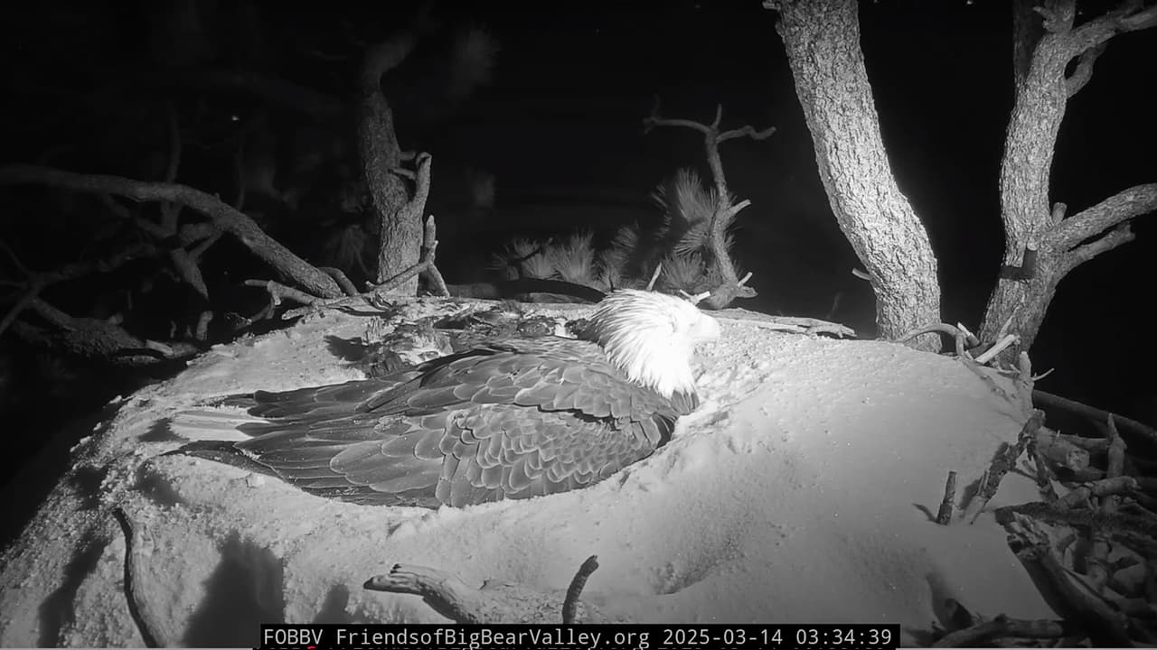 De acuerdo con el 
<b>Servicio de Meteorología Nacional (NWS)</b> la tormenta de nieve azotó la zona el jueves por la noche dejó hasta 60 centímetros de nieve en las montañas de San Bernardino.