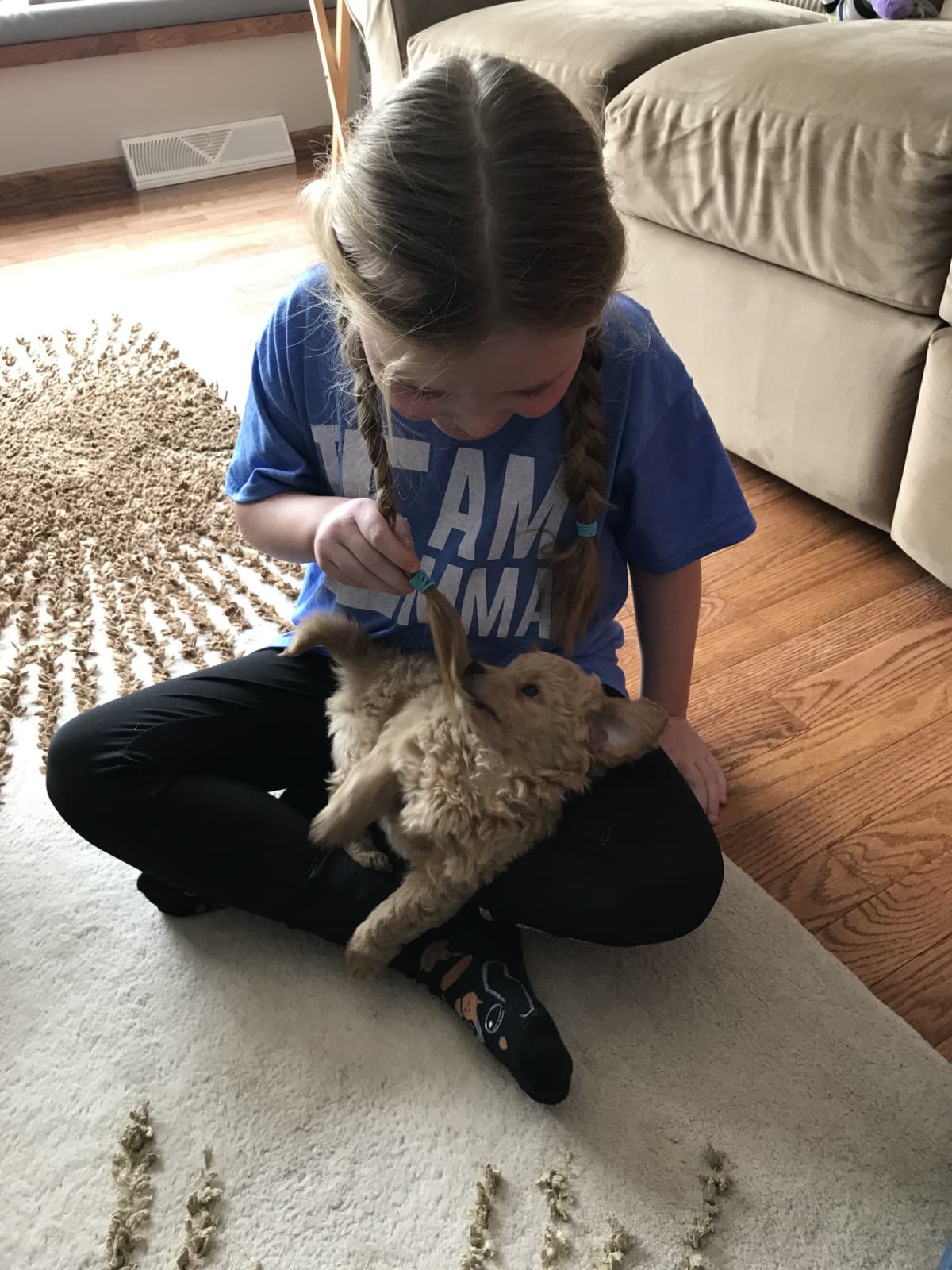 También crearon una página de Facebook para que las personas puedan seguir enviando las fotos de sus perros digitalmente.