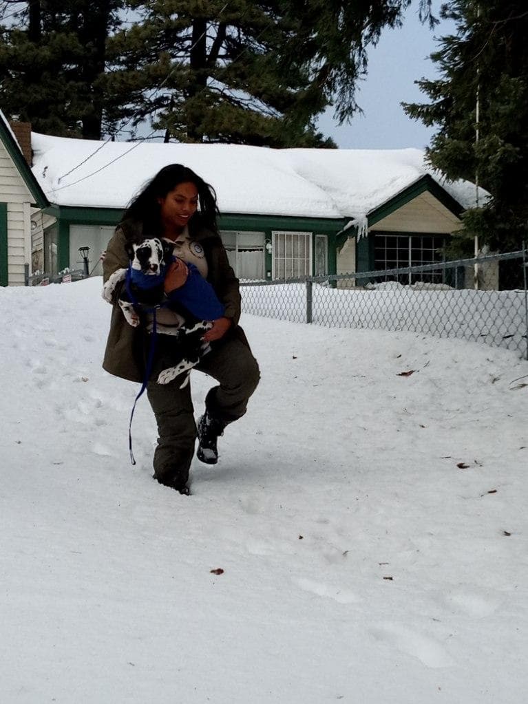 Cuidado de Animales del Condado de San Bernardino completó un total de 11 llamadas dentro de las comunidades montañosas, y también distribuyó 7 bolsas de comida para perros, 6 bolsas de comida para gatos, 6 pacas de heno y 2 bolsas de arena para gatos. 
<br>