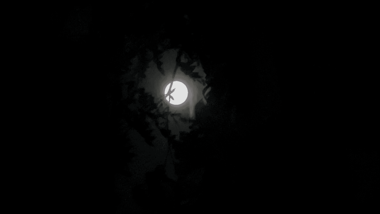 "Mis hijos encantados viendo la luna", comentó una lectora de 
<i>Univision Dallas-Fort Worth</i>.
