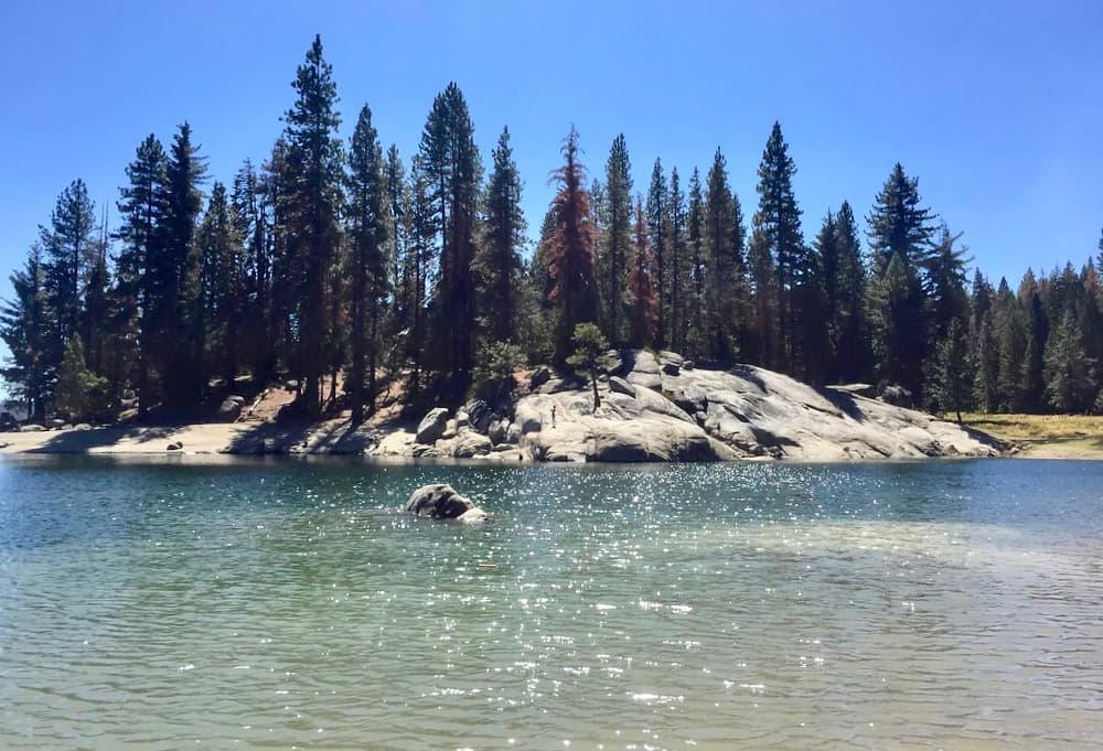 <b><a href="https://goo.gl/maps/TvRbqXXXRcZSDa3L8" target="_blank">Lago Shaver </a>es uno que promete no aburrirte</b>, ofrece bellas postales y también la práctica de deportes acuáticos. Se ubica a una hora hacia la montaña saliendo desde Fresno y tiene 135 millas de profundidad donde se pueden pescar 16 diferentes especies, principalmente
<b> truchas y salmones.</b> Tiene dos marinas y a diferencia de otros lagos, este es para culaquiera, desde paddles y botes menores, hasta embarcaciones mayores. 
<br>A
<b>lrededor del lago hay restaurantes, tiendas y lugares donde hospedar si acaso te alcanza la noche y no quieres regresar a la ciudad. El acceso es libre y gratuito.</b>