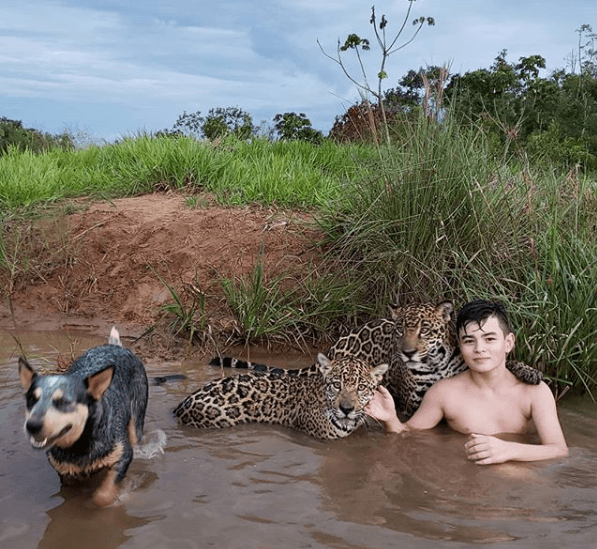 La historia detrás de la increíble, pero real, fotografía de un niño junto a dos jaguares