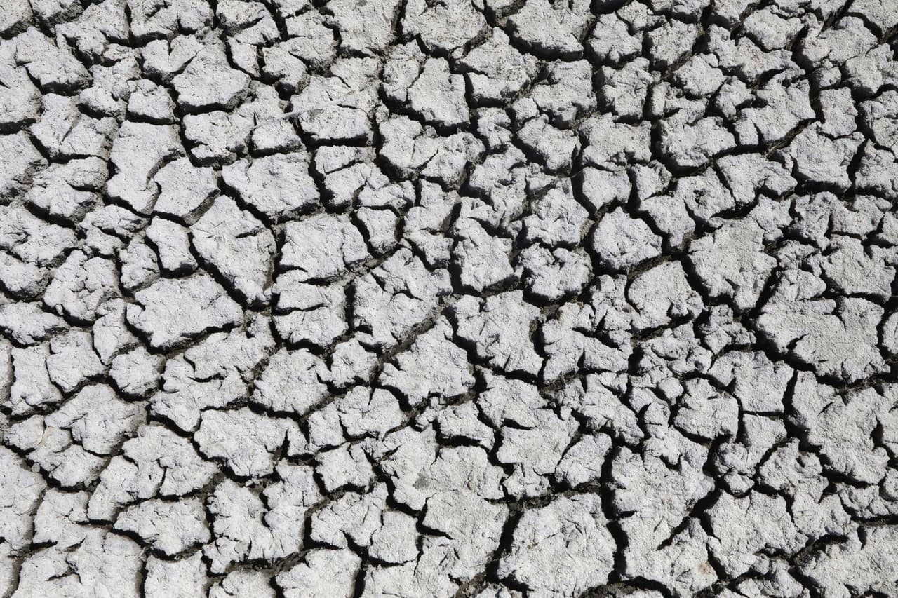 El lago es fuente de alimentos para unas 
<b>10 millones de aves migratorias</b> y el descenso de los niveles del agua puede amenazar todo el ecosistema del lugar.