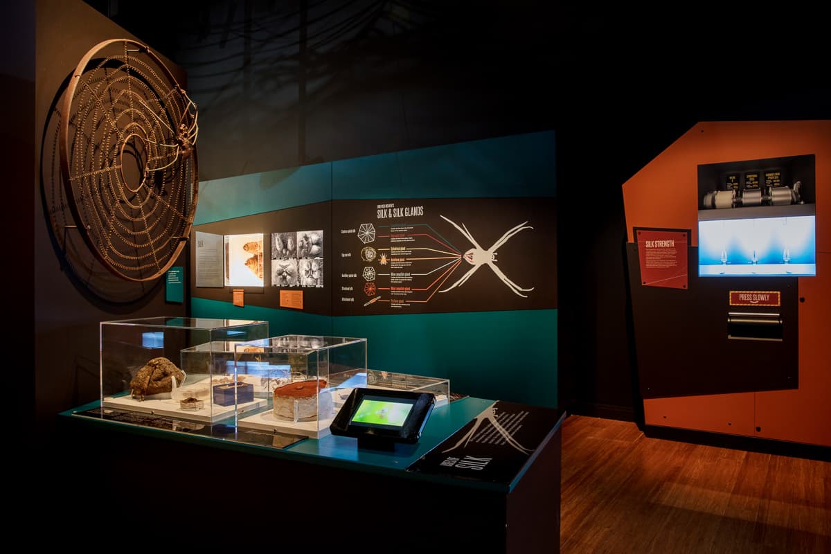A través de la realidad aumentada y la tecnología de proyección de video, los visitantes de todas las edades encontrarán más de 250 especímenes reales y preservados (desde la tarántula chevron de Trinidad hasta el cazador dorado australiano).
<br>