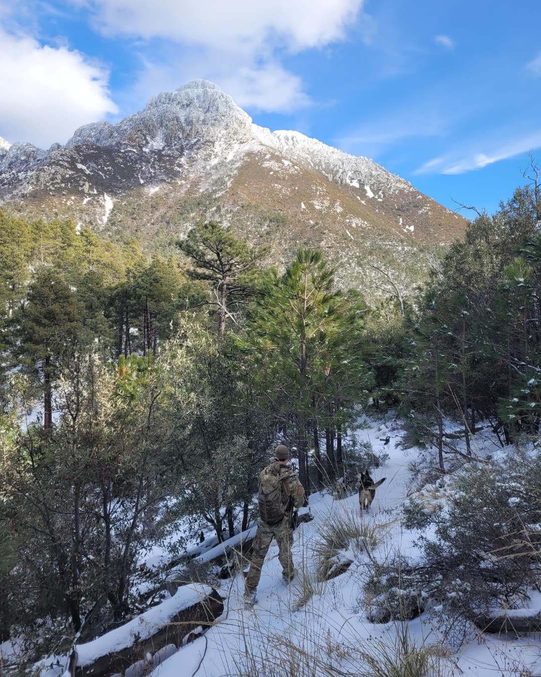 El hombre herido fue transportado a un hospital del área de Tucson para recuperarse. La temperatura en la montaña puede llegar a los 20° o 30°F.