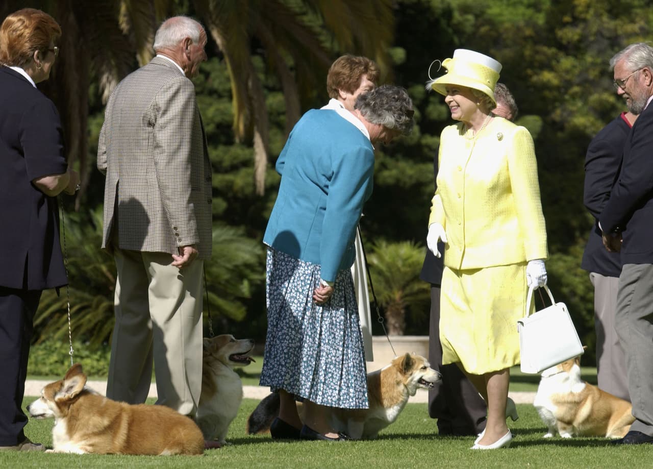 La reina Isabel II con sus corgis durante un viaje a Australia en febrero de 2002. La autora británica Penny Junor documentó sus vidas en un libro publicado en 2018 llamado 
<i>All the Queen's Corgis</i>.
<br>Junor escribió que la propia reina paseaba y alimentaba a los perros, elegía sus nombres y cuando morían, los enterraba con placas individuales. Cuando comenzó a envejecer, el cuidado de los corgis había recaído en gran medida en la modista y asistente de confianza de la reina, Angela Kelly, y su paje Paul Whybrew.