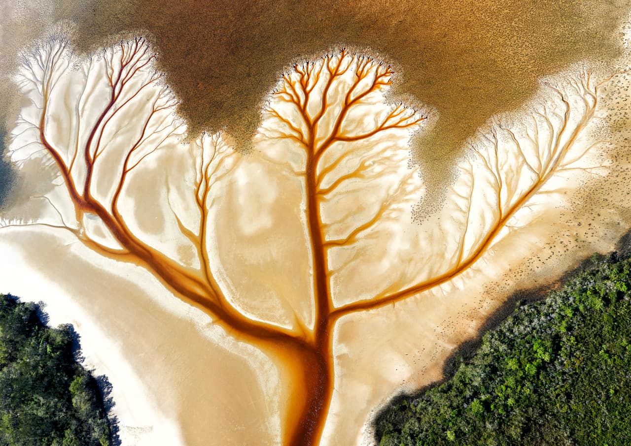 Este arroyo mareal teñido de taninos en Lake Cakora, al norte de Nueva Gales del Sur, Australia, muestra complejos y hermosos patrones que solo se aprecian desde el aire.