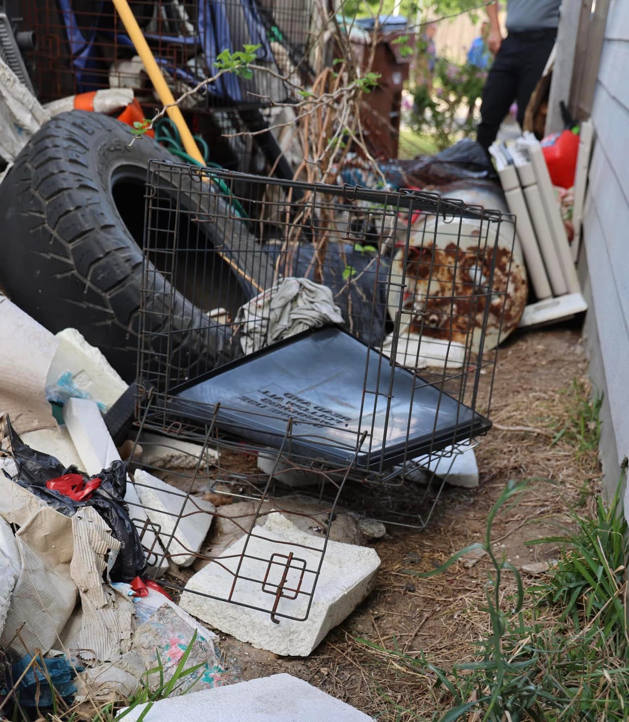 Con el trabajo conjunto del Servicio de Control Animal del Condado Bexar y de la Ciudad de San Antonio, así como la Unidad de Manejo de Materiales Tóxicos o Peligrosos, autoridades pudieron rescatar a 26 perros.
