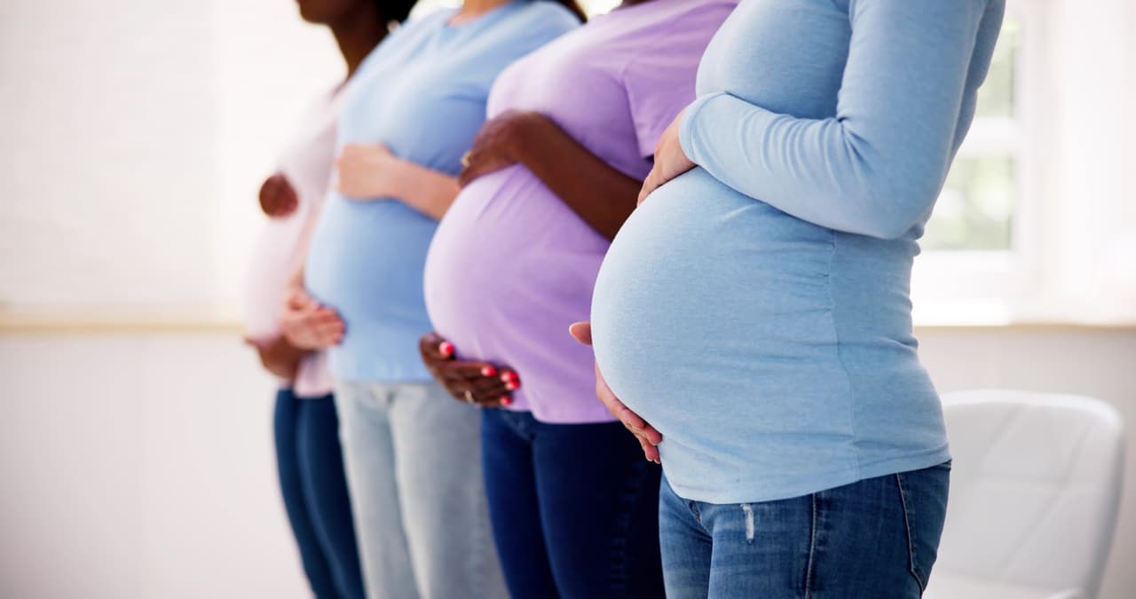 Pregnant Woman Group In Row. Young Mothers