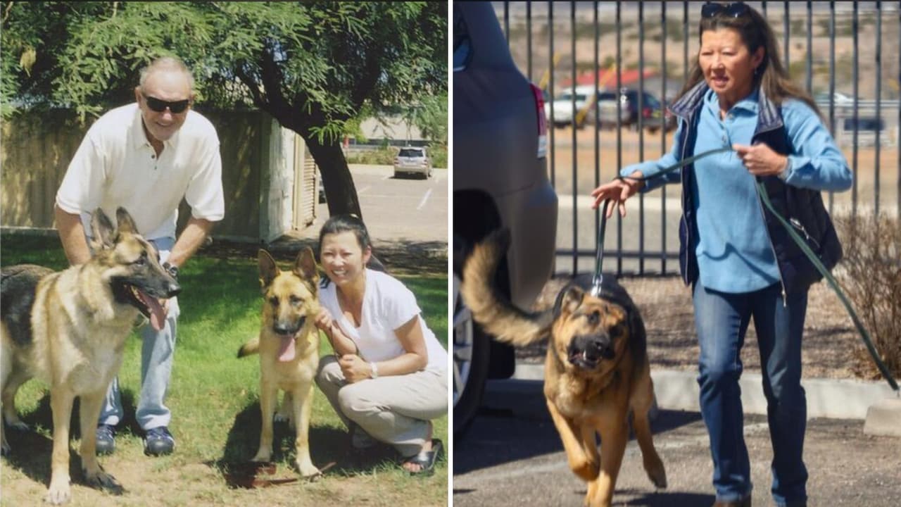 ¿Dónde están las mascotas de Gene Hackman y Betsy Arakawa tras su trágica muerte?