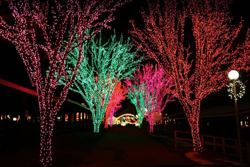 <b>Altoona</b>. Visita Holiday Lights on the Lake, la celebración navideña propia de Altoona en Lakemont Park. Incluye una deslumbrante exhibición de luces navideñas de 50 acres, Santa's Village, exhibiciones de trenes en miniatura y más.
<br>
<br>
<b><a href="https://goo.gl/maps/c1YLsTdf8Ygj8WiP8">Cómo llegar</a></b>