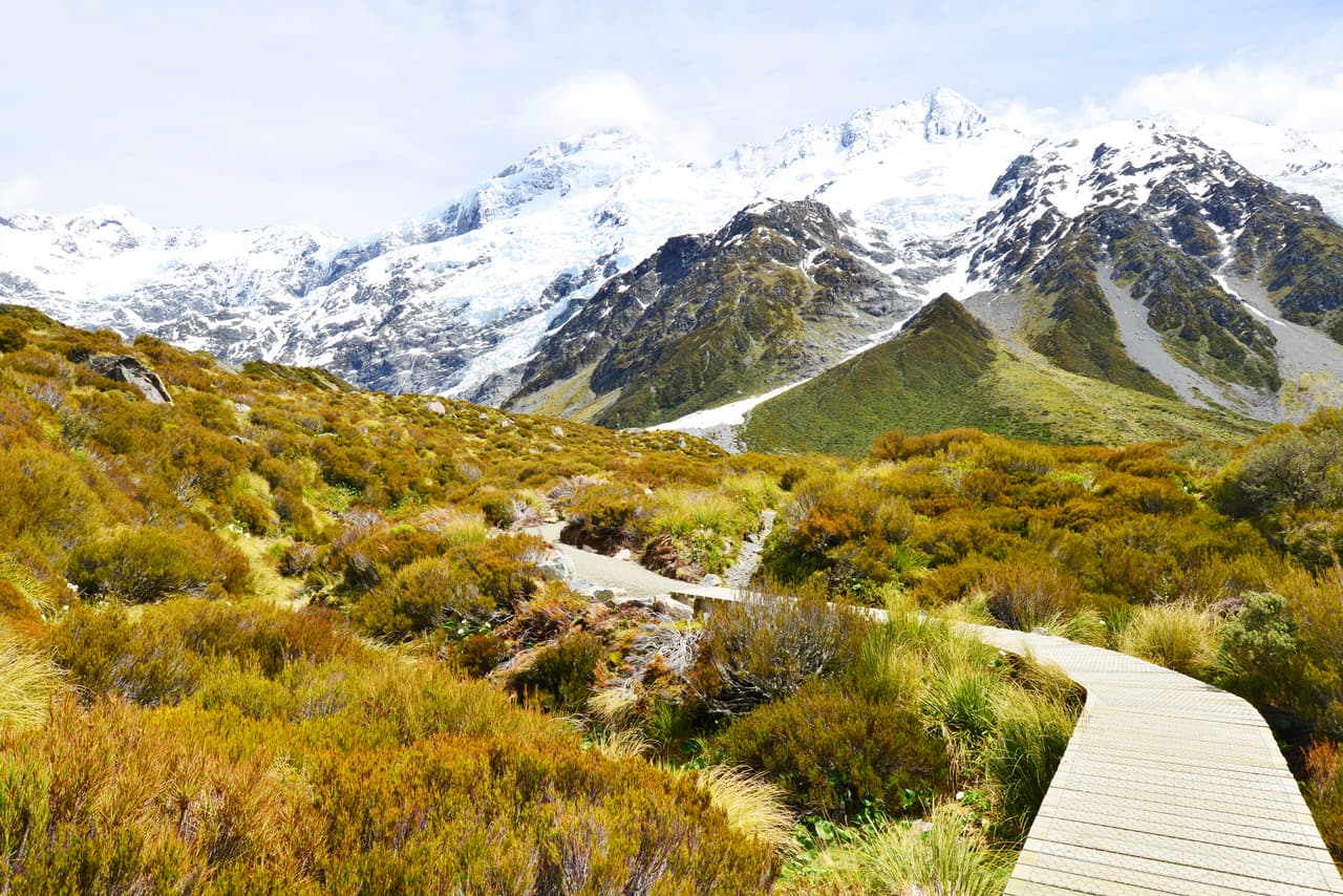 <h2 class="cms-H2-H2">10. Nueva Zelanda</h2>
<br>
<br>🧳
<b> ¿Qué lugar ocupó en 2022? </b>2.
<br>
<br>🧳 
<b>¿Por qué está en el listado? </b>Este lejano país saltó a la fama turística internacional con el estreno de la trilogía de 
<i>El Señor de los Anillos</i>, pero sus espectaculares paisajes naturales han mantenido su popularidad entre los viajeros.
<br>
<br>🧳 
<b>¿De qué tienes que cuidarte si viajas a este país? </b>Ovejas. Muchas personas pueden no estar acostumbradas a conducir en las carreteras neozelandesas y encontrarse, de repente, con uno de estos animales. 
<br>
