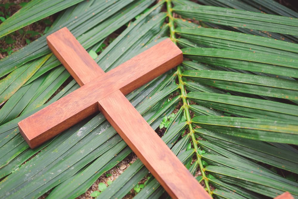El Domingo de Ramos es el día que marca el fin de la Cuaresma y el inicio de la Semana Santa, la época en que se lleva a cabo la pasión, crucifixión, muerte y finalmente, resurrección de Jesús.