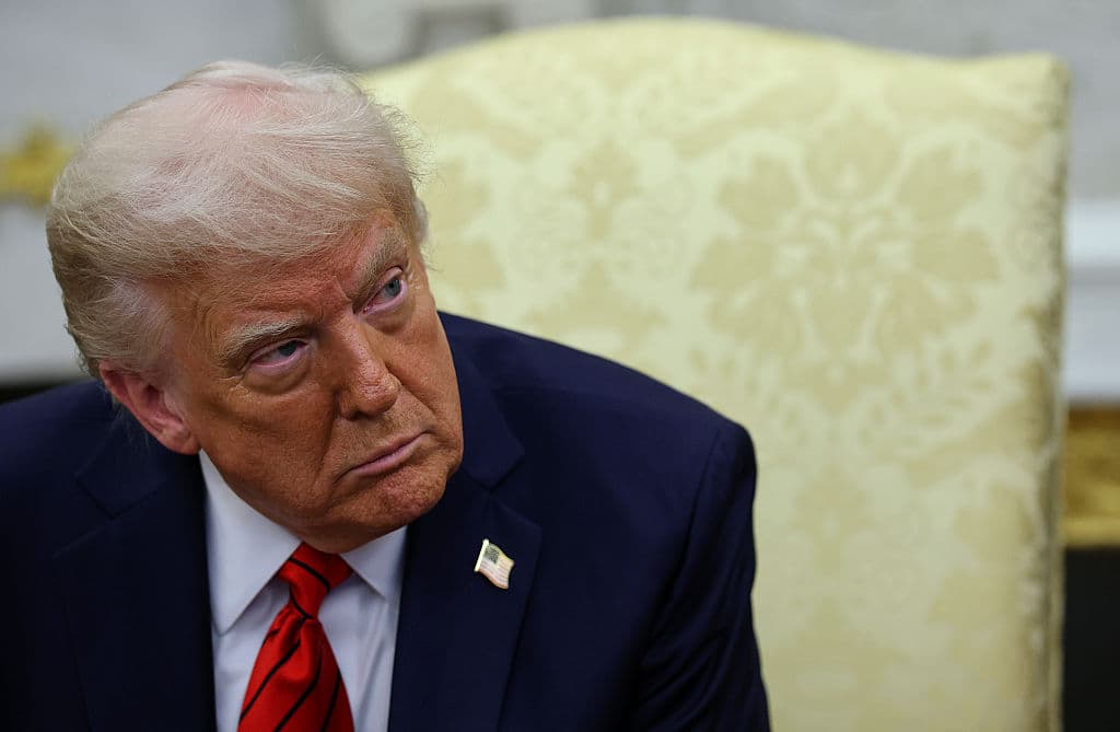 'Autoritarismo con elecciones': el preocupante rumbo que sigue EEUU con Trump, según cientos de expertos 