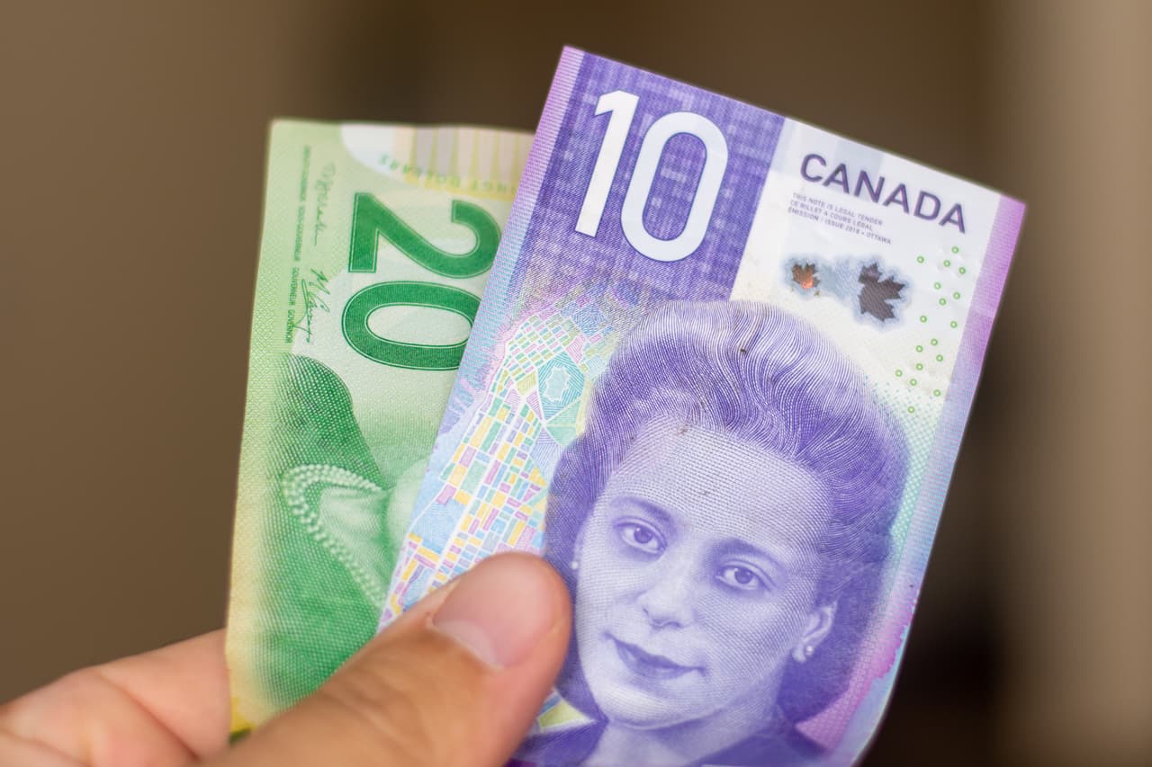 <h3 class="cms-H3-H3">Viola Desmond (1914 - 1965)</h3>
<br>
<br>🪙 
<b>Conocida como:</b> líder de derechos civiles.
<br>
<br>🪙 
<b>País: </b>Canadá.
<br>
<br>🪙 
<b>Denominación: </b>10 dólares canadienses.
<br>