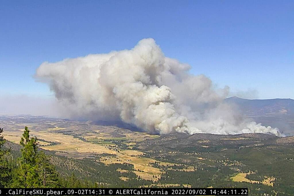 Mientra tanto, el incendio Mountain sigue evolucionando rápidamente y hasta el momento ya ha quemado 3,395 acres y está contenido en un 5%.