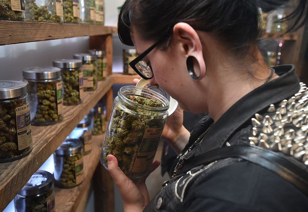 Drogas duras, marihuana, hongos alucinógenos: así avanzó la despenalización de drogas en las elecciones